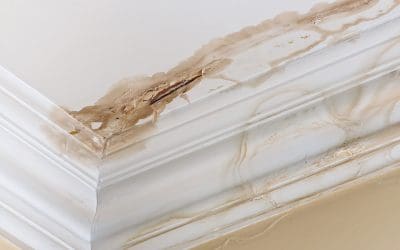 5 Places Water Damage Occurs in the Home