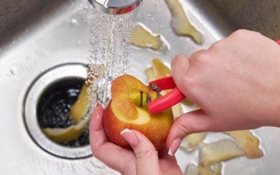 Top 4 Garbage Disposal Tips