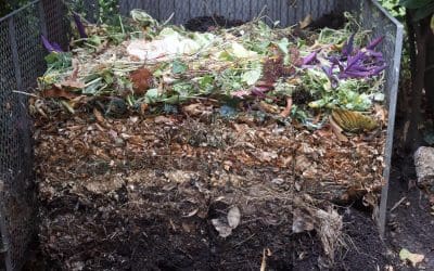 Composting at Home: Turning Scraps Into Garden Gold